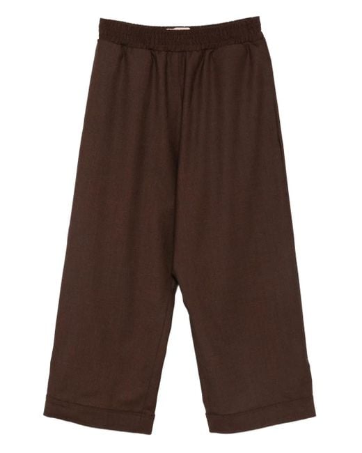 Plan C Brown Hose mit elastischem Bund