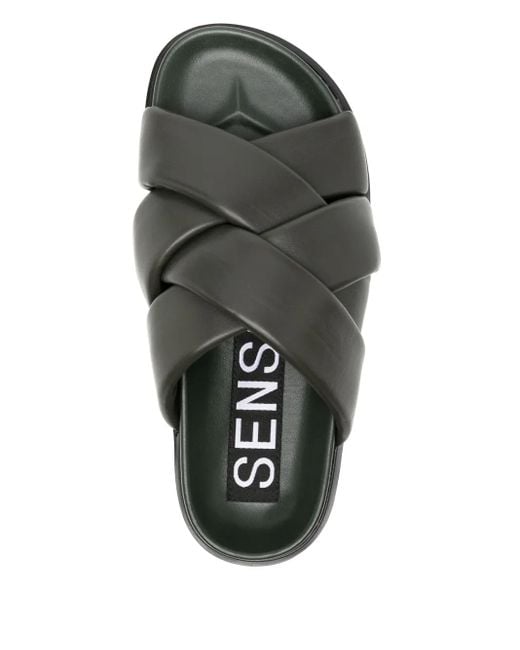 Senso Gray Ian Slides