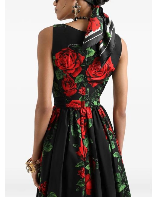 Dolce & Gabbana Red Rose-Print Poplin Midi Dress