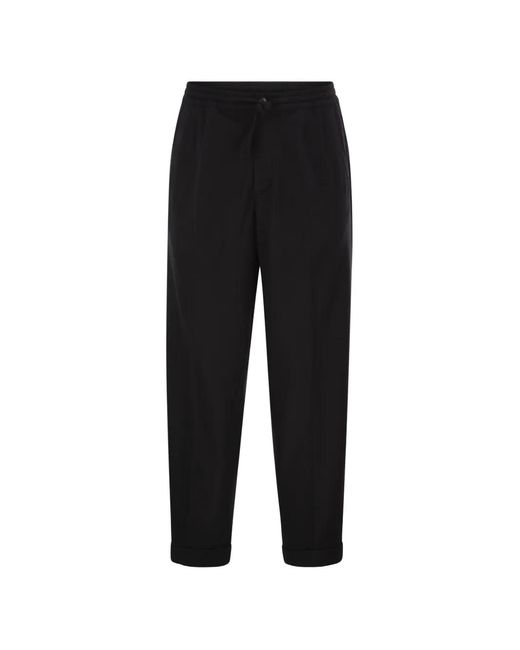Fedeli Black Harvard Double-Pleat Trousers for men