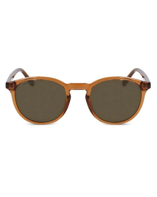 Lacoste Brown Pantos-Frame Sunglasses