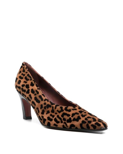 Roberto Festa Brown Wara Leopard-Print Pumps