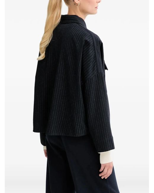 Sessun Blue Pinestripe Shirt