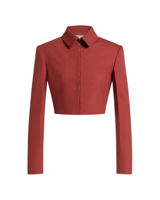 Alberta Ferretti Collared Jacket
