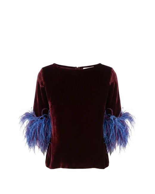 Stephan Janson Black Feather-Trim Velour Blouse