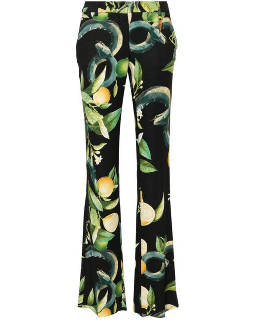 Pantalon de tailleur à imprimé Lemon Roberto Cavalli en coloris Green