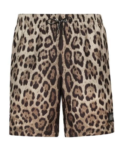 Dolce & Gabbana Multicolor Leopard-Print Swim Shorts for men