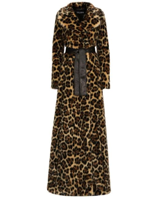 Dolce & Gabbana Brown Leopard-print Faux-fur Coat