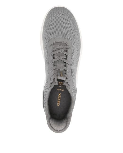 Geox Gray Spherica Sneakers for men