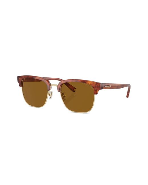 COACH Brown Workmark Retro Logo-Print Sunglasses for men