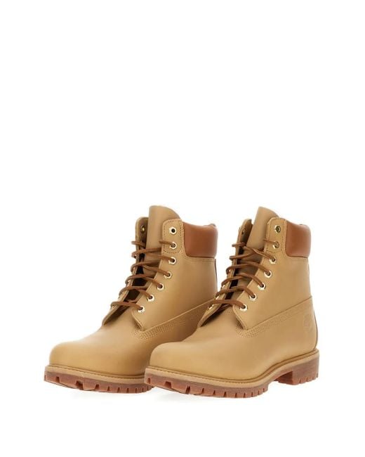 Timberland Brown 6-Inch Boots for men