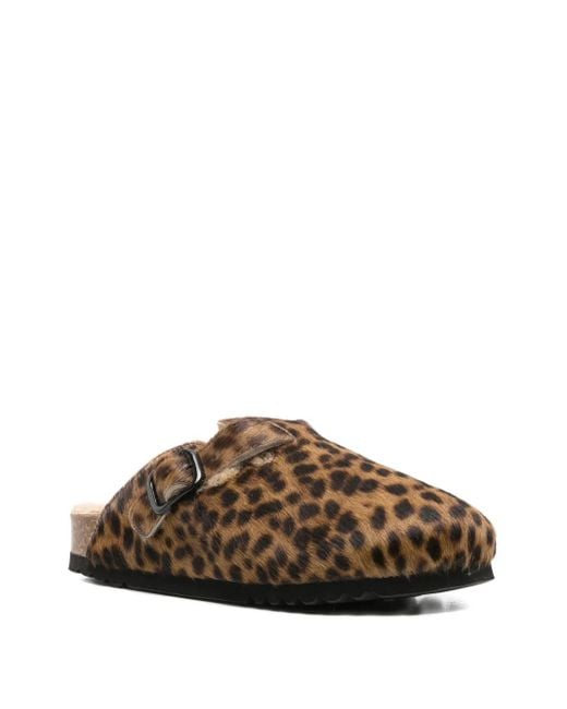Scholl Brown Mules Yena Fae À Imprimé Léopard