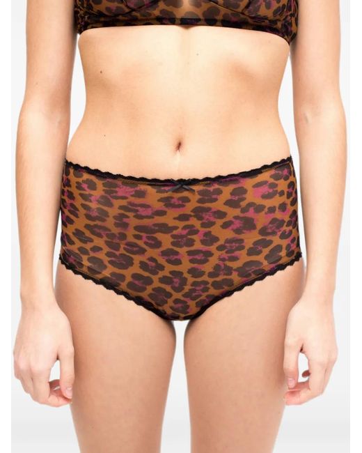Laura Urbinati Brown Leopard-Print Lace-Trim Briefs