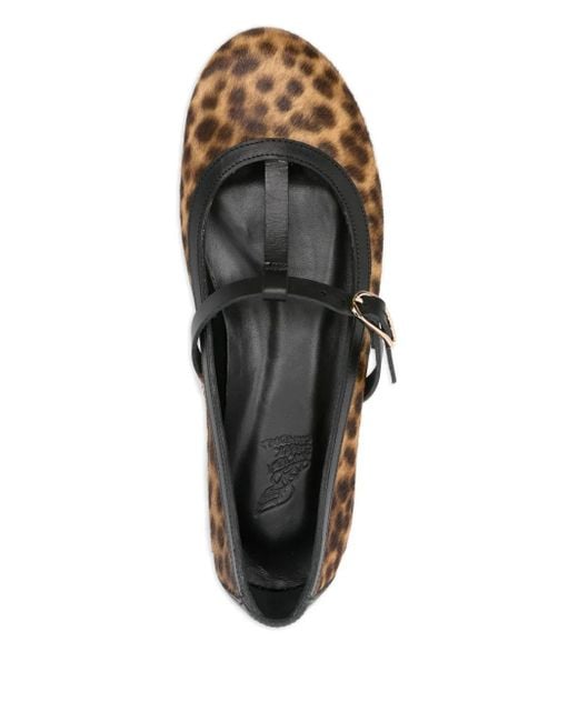 Ancient Greek Sandals Brown Aerati Leopard-Print Ballet Flats