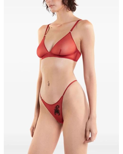 Zhilyova Embroidered Sheer Thong