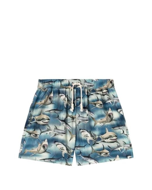 Palm Angels Blue Shark-Print Swim Shorts for men