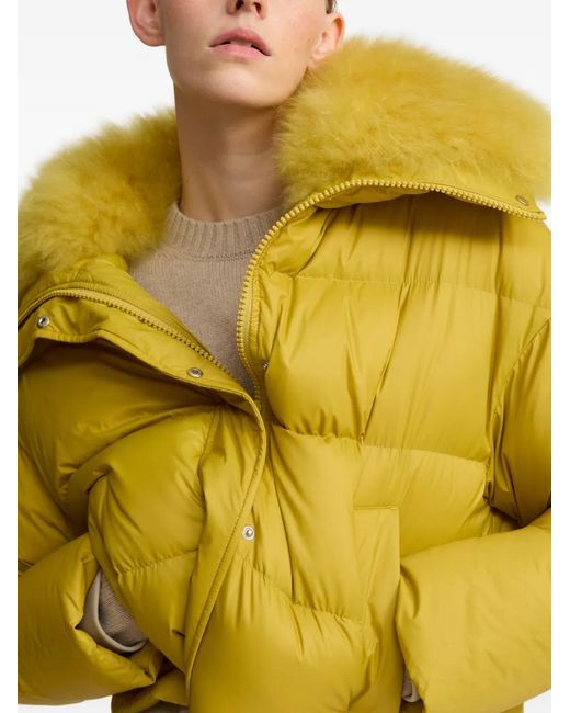 Yves Salomon Donsjack in het Yellow