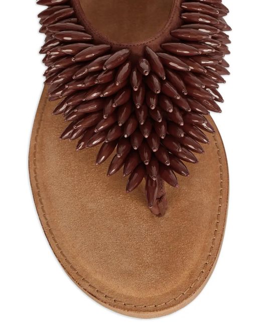 Balmain Brown Flat Sandals