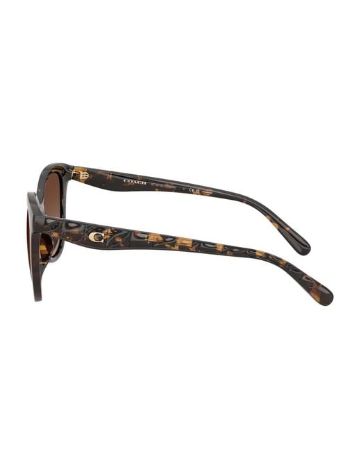 COACH Brown Logo-Plaque Sunglasses