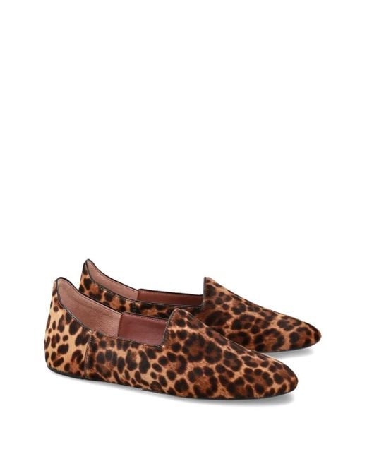 Premiata Brown Leopard-Print Ballet Flats