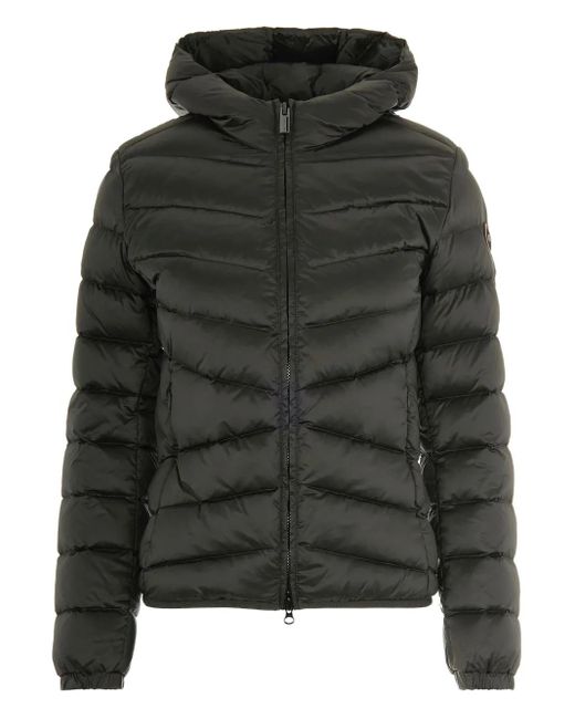 Colmar Gevoerd Jack Met Capuchon in het Black