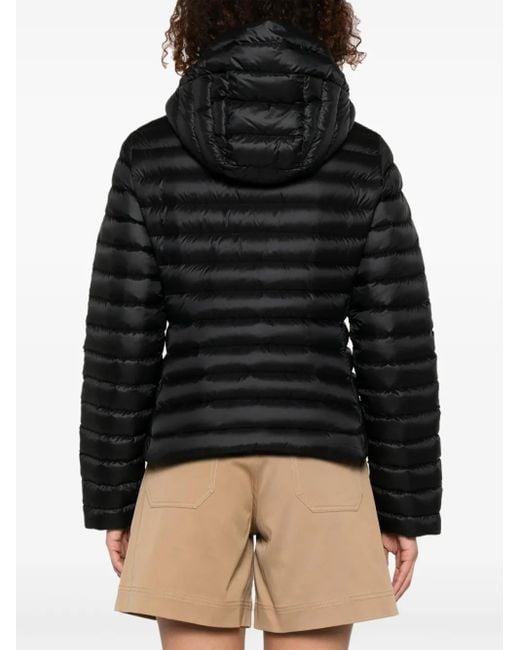 Moncler Ige Jack in het Black