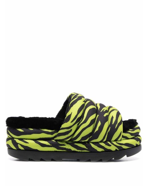 zebra print ugg slides