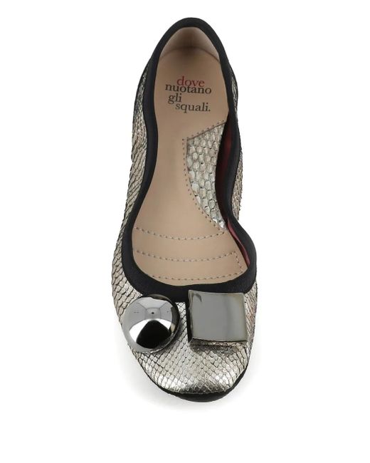 Dove Nuotano Gli Squali Brown Embellished Ballet Flats