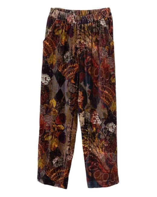 Yavi Broek Met Bloemenprint in het Brown