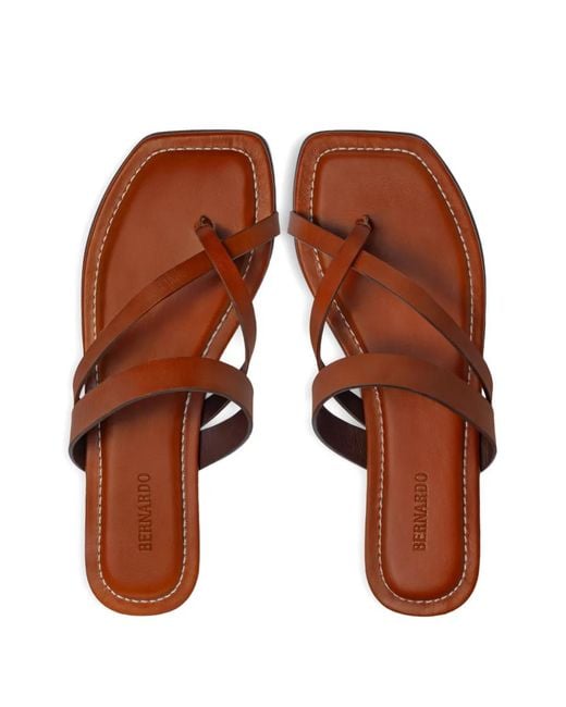 Bernardo Brown Ocana Toe-Ring Thong Flat Sandals