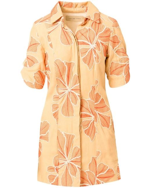 JBQ Ginger Mini-Jurk in het Orange