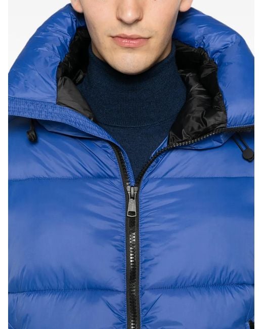 SERGIO MORETTI FIRENZE Blue Hooded Padded Jacket for men