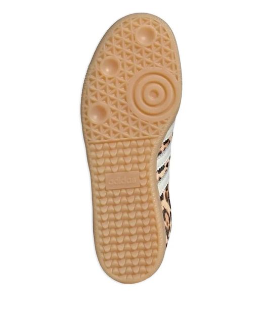 Adidas Brown Leopardi Sneakers