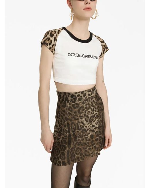 Dolce & Gabbana Brown Skirt