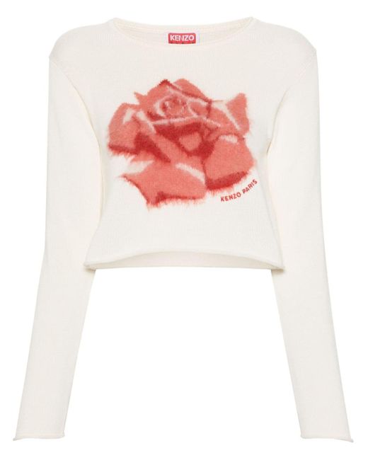Jersey corto con motivo de rosa en intarsia KENZO de color White