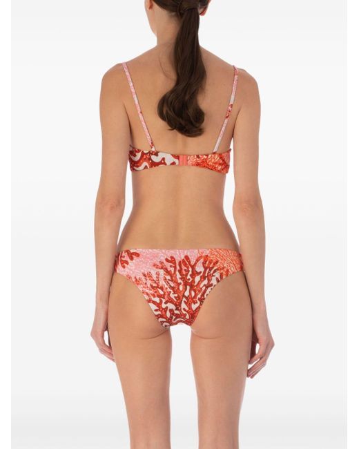 Silvia Tcherassi Red Frazer Coral-print Swimsuit