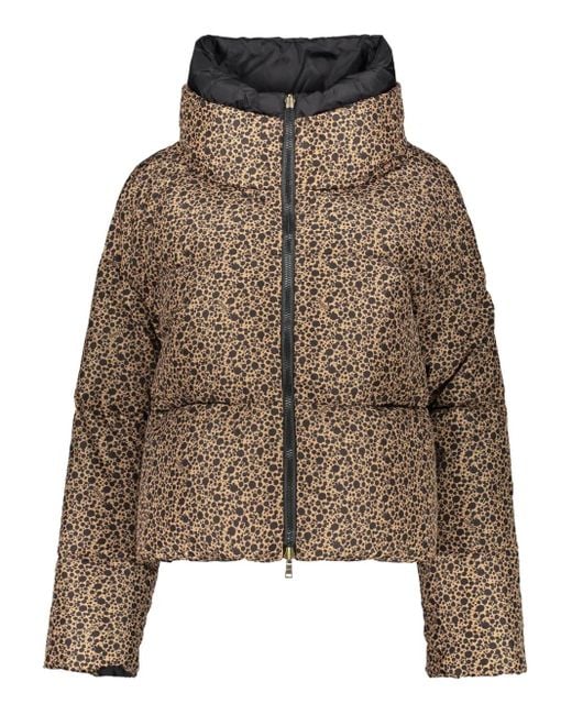 Herno Omkeerbaar Jack Met Luipaardprint En Opstaande Kraag in het Brown