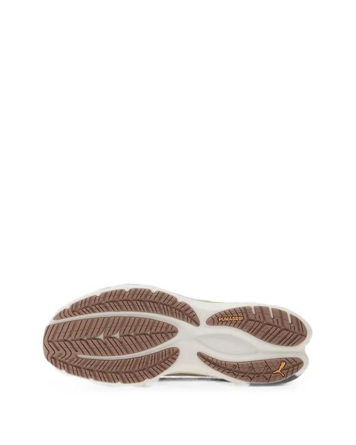 PUMA Brown Velocity Nitro 4 Rc Lace-Up Sneakers for men