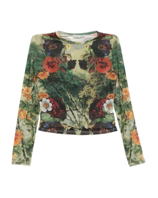 Alice + Olivia Top in het Green