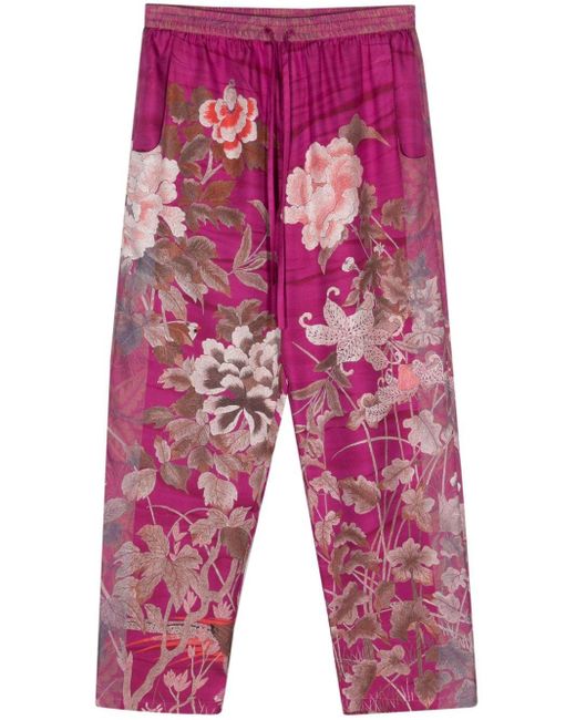 Pantalones ajustados con motivo floral Pierre Louis Mascia de color Red