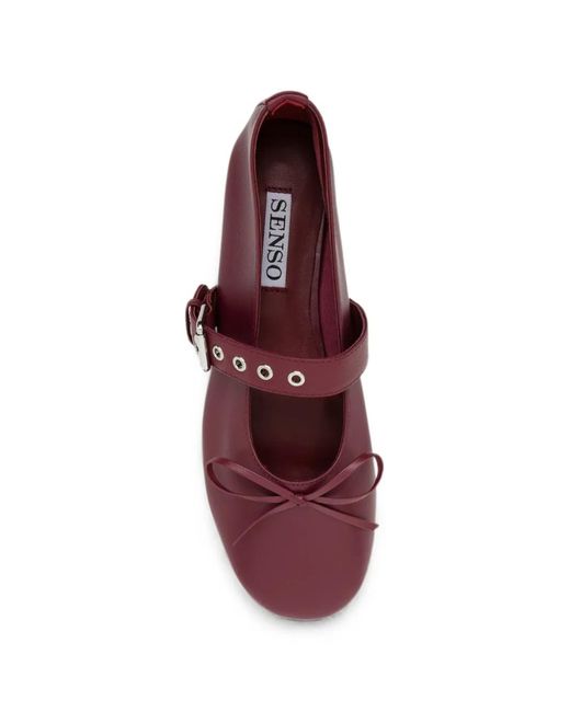 Bailarinas Carson Senso de color Purple