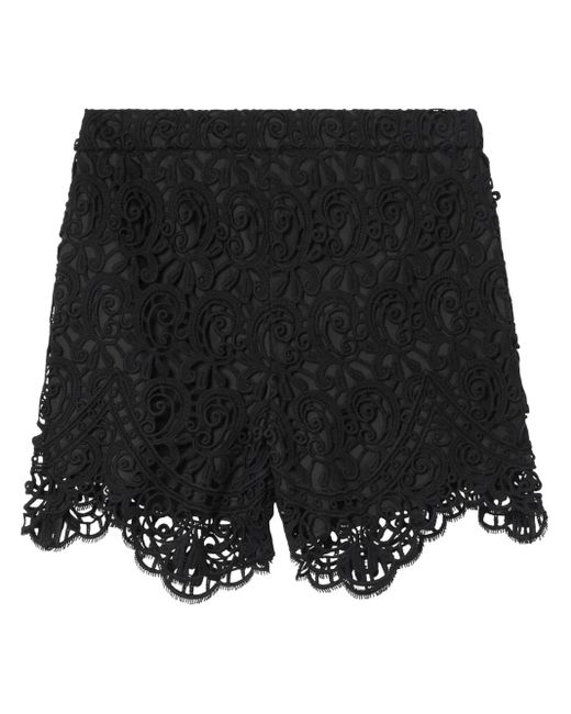 Burberry ハイウエスト マクラメレース ショートパンツ Black