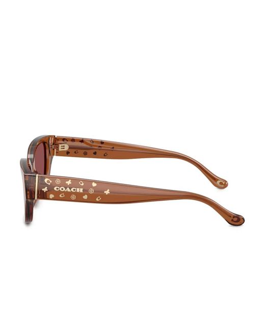 COACH Brown Logo-Plaque Square Sunglasses