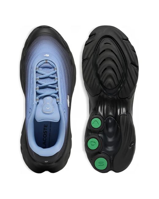 Lacoste Blue Spinor Logo Low Top Sneakers for men