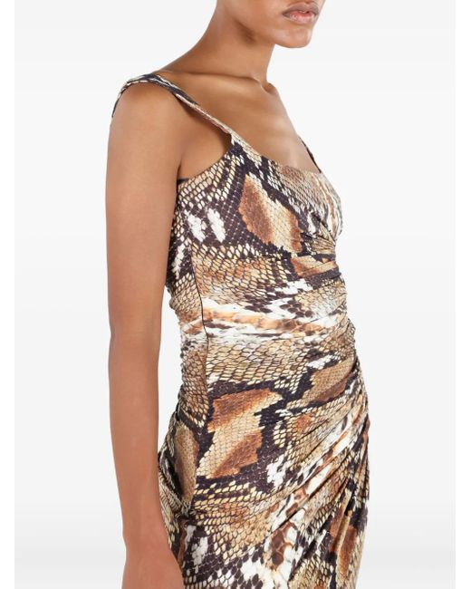 Roberto Cavalli Brown Python-Print Midi Dress