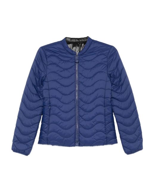 Emporio Armani Blue Nylon Blouson Jacket