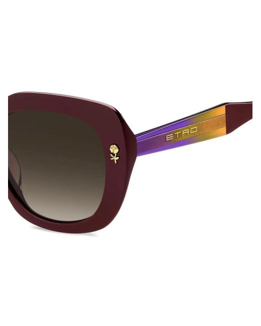 Etro Brown Colour Stripes Sunglasses