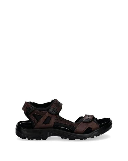 Ecco White Offroad Strap Sandals for men