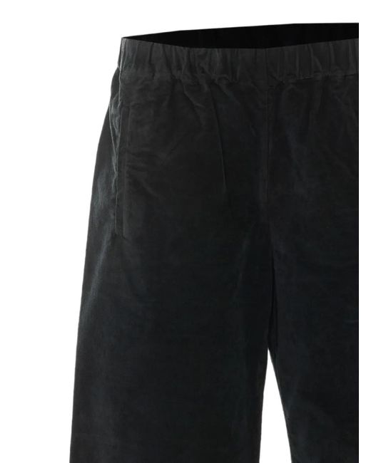 TRUE AVENUE Black Pensil Velvet-Effect Palazzo Pants