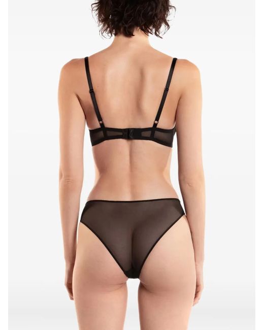 Zhilyova Black Asteria Mesh Briefs